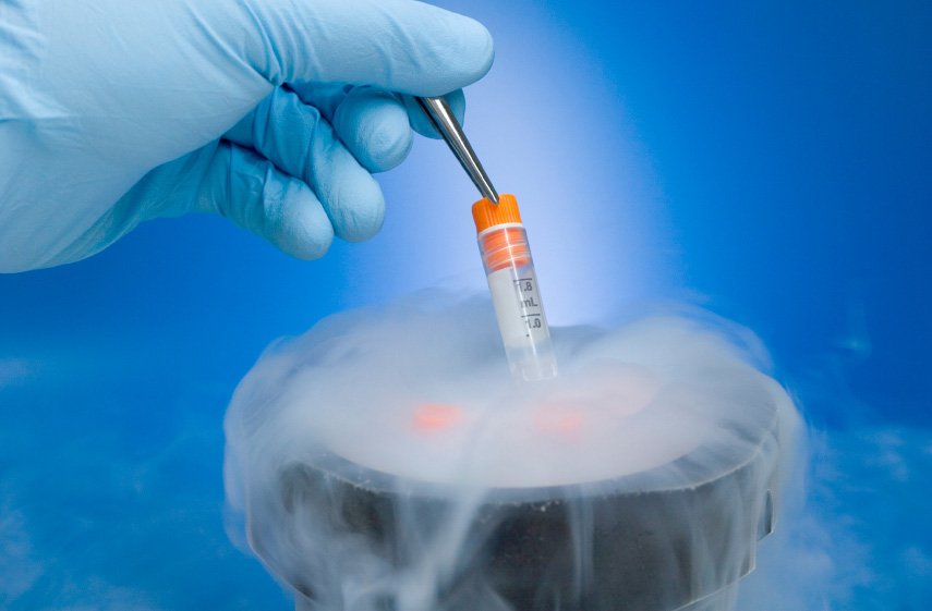 FROZEN EMBRYO TRANSFER  Ansh IVF Moga